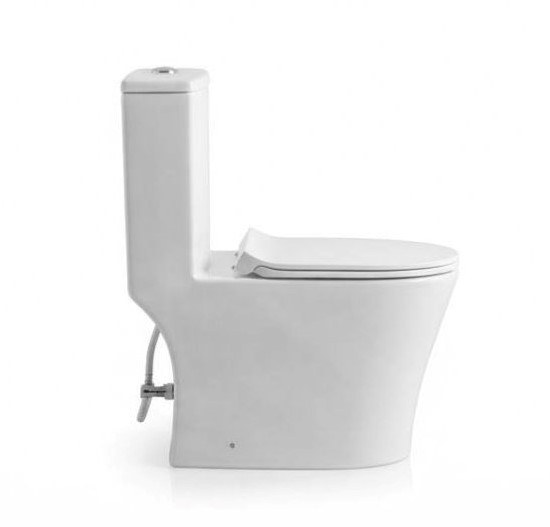One Piece Toilet - SH-6201