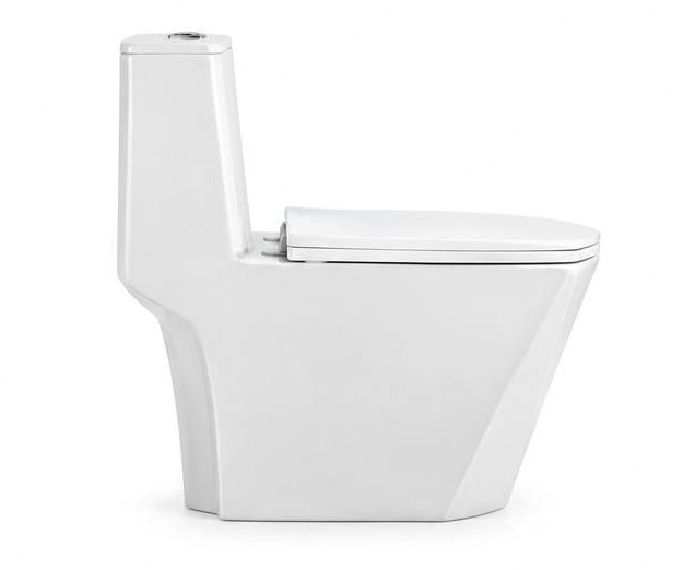 One Piece Toilet - SH-276