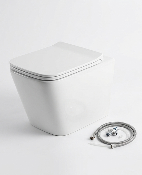 Wall Hung Toilet - SH-006 (Rimless, P-trap 180mm, with Bidet)